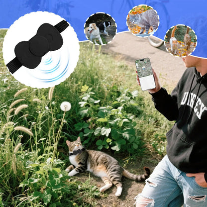 Localisation précise avec le collier gps pour chat noir : application smartphone affichant la carte en temps réel. Chat tigré en extérieur portant ce collier gps chat sécurisé. Visuel montrant l'efficacité sur chats et chiens. Une solution fiable type collier gps à chat bureau avec support AirTag en forme de nœud papillon pour le suivi GPS.
