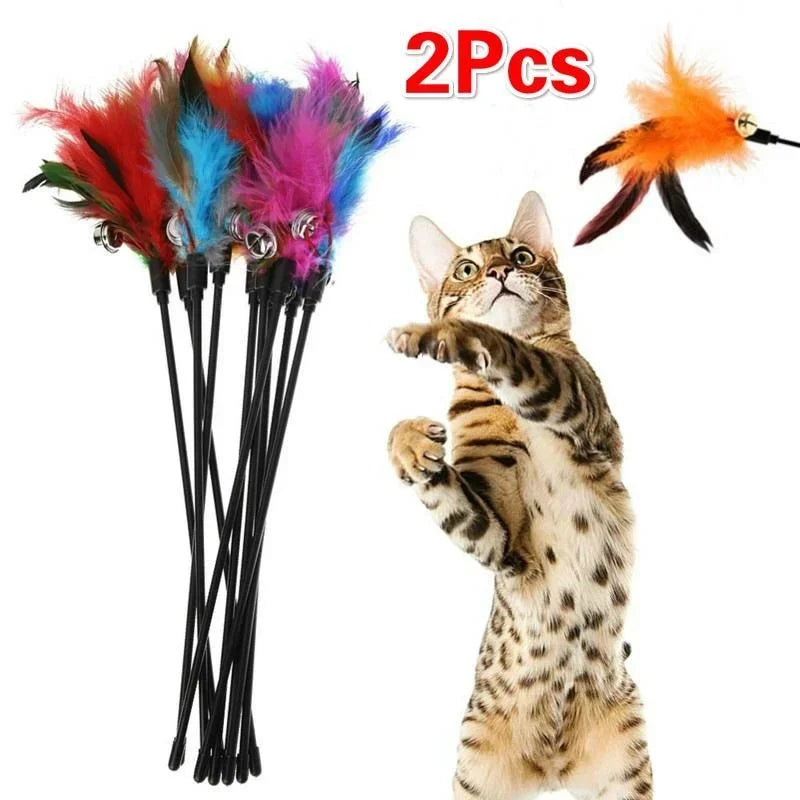 Chat Bengal jouant avec un lot de 2 recharges de plumes multicolores pour canne à pêche, équipées de clochettes sonores pour stimuler l'instinct de chasse et l'exercice.