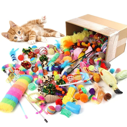 Un grand carton ouvert déversant une multitude de jouets multicolores pour chat (balles, souris, plumes, ressorts, tunnels) à côté d'un chaton roux allongé sur le dos.