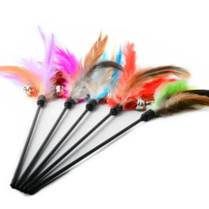 Éventail de recharges de plumes multicolores pour jouets de chat, montrant diverses textures de plumes naturelles équipées de clochettes argentées et de tiges de fixation noires.