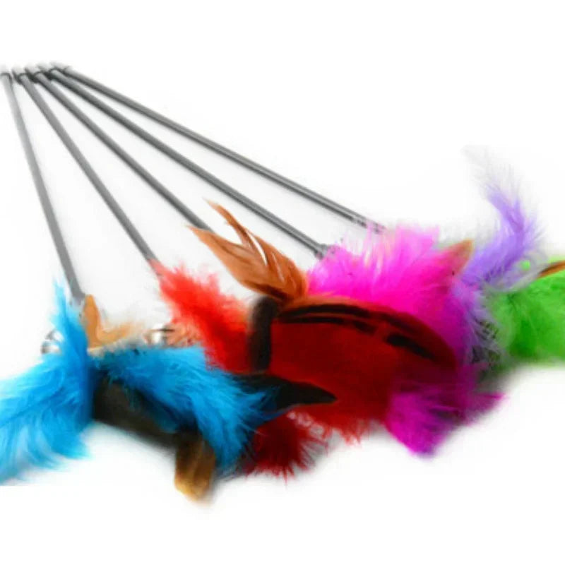 Lot de recharges de plumes multicolores (bleu, rouge, rose, vert) pour jouets de chat, équipées de tiges de fixation grises et de clochettes argentées pour stimuler l'instinct de chasse.