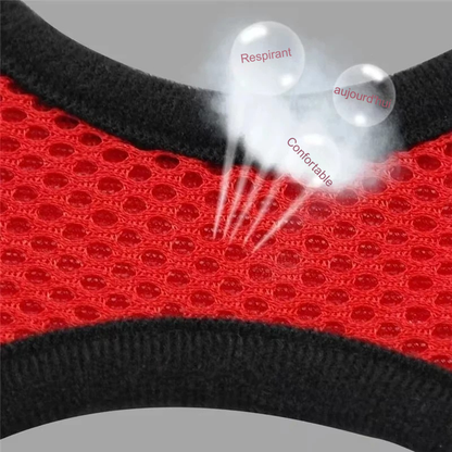 Infographie technique d'un harnais pour chat en maille respirante détaillant les options de sécurité : logo réfléchissant pour la nuit, sangles en nylon haute résistance, boucle de fermeture robuste et système ajustable. Ce harnais chat ergonomique avec fermeture velcro est conçu pour être facile à porter tout en garantissant un confort maximal. Un harnais de qualité professionnelle alliant sécurité et esthétique pour toutes les races de chats.