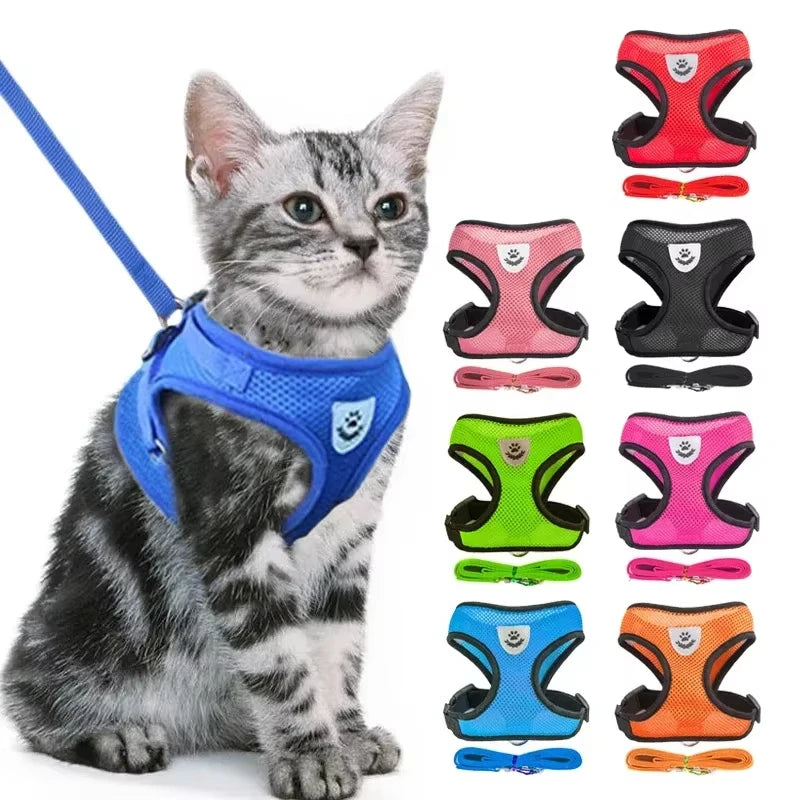 Chat tigré portant un harnais en maille respirante bleu, présenté avec une gamme de 8 coloris vifs (rouge, rose, noir, vert, fushia, bleu ciel, orange) et leurs laisses assorties. Gros plan technique sur la maille filet rouge d'un harnais pour chat, illustrant les propriétés de haute respirabilité et de confort pour l'animal. Cette texture alvéolée garantit une aération maximale, ce qui en fait le harnais chat idéal pour les sorties estivales sans risque de surchauffe. Un équipement de qualité indispensable