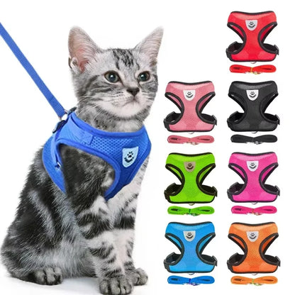 Chat tigré portant un harnais en maille respirante bleu, présenté avec une gamme de 8 coloris vifs (rouge, rose, noir, vert, fushia, bleu ciel, orange) et leurs laisses assorties. Gros plan technique sur la maille filet rouge d'un harnais pour chat, illustrant les propriétés de haute respirabilité et de confort pour l'animal. Cette texture alvéolée garantit une aération maximale, ce qui en fait le harnais chat idéal pour les sorties estivales sans risque de surchauffe. Un équipement de qualité indispensable