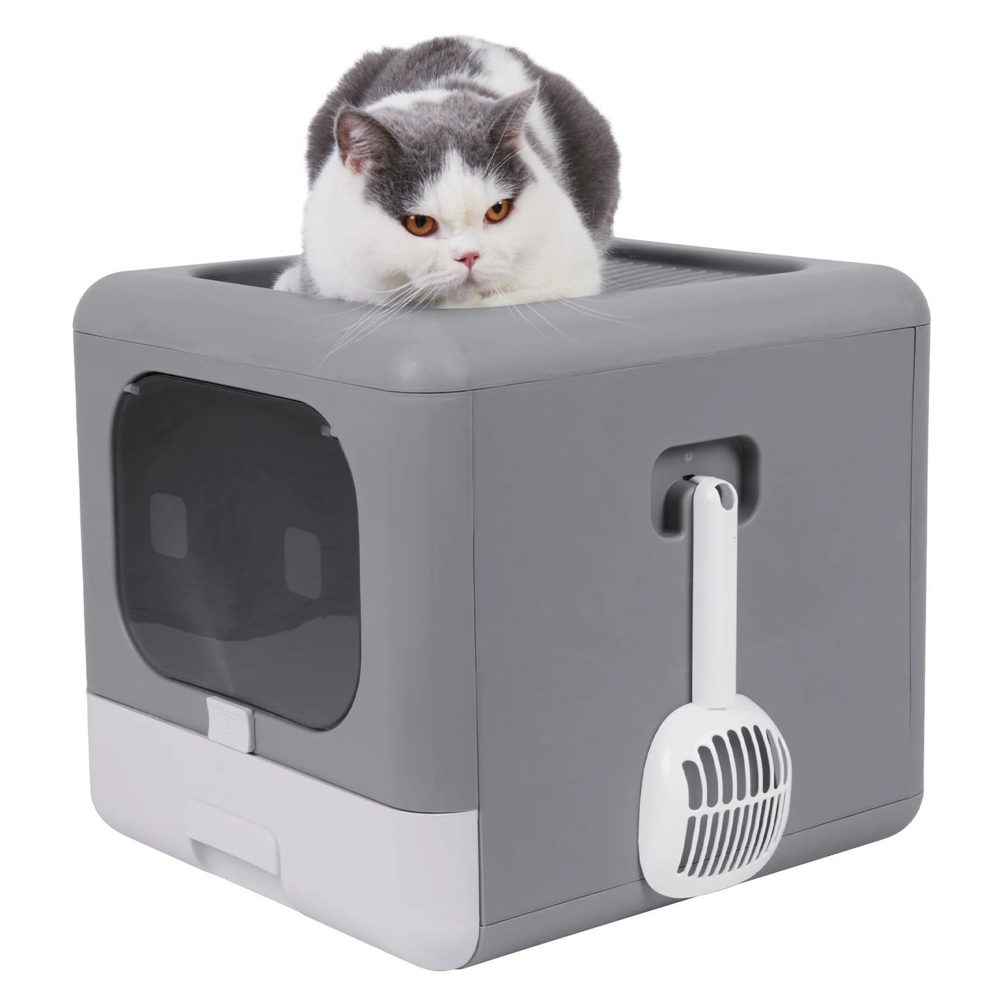 Un chat gris et blanc installé sur le toit d'un bac à litière chat fermé gris et blanc au design moderne. Cette maison de toilette robuste inclut une porte frontale sombre, un tiroir blanc et une pelle latérale, idéale comme bac à litière pour chaton.