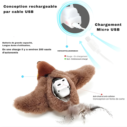 Gros plan sur le mécanisme interne d'un oiseau interactif pour chat, illustrant le port de chargement Micro USB, les voyants lumineux d'état de charge et la batterie de grande capacité.