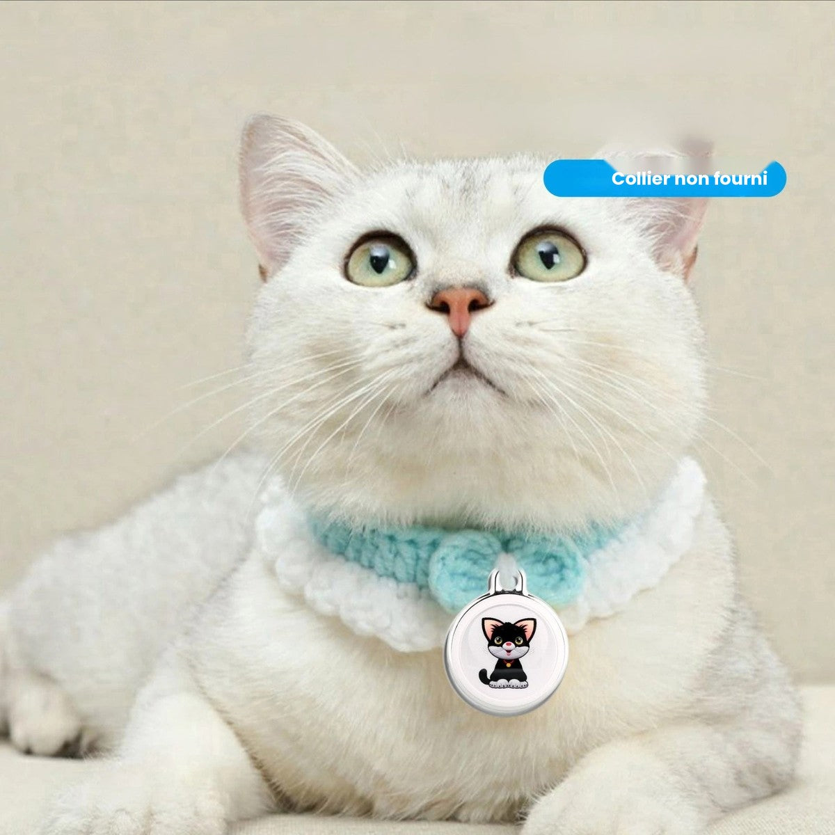 Chat blanc portant la médaille GPS chat « Le Pisteur » sur un collier tricoté, non fourni — Les Trésors d'Owka