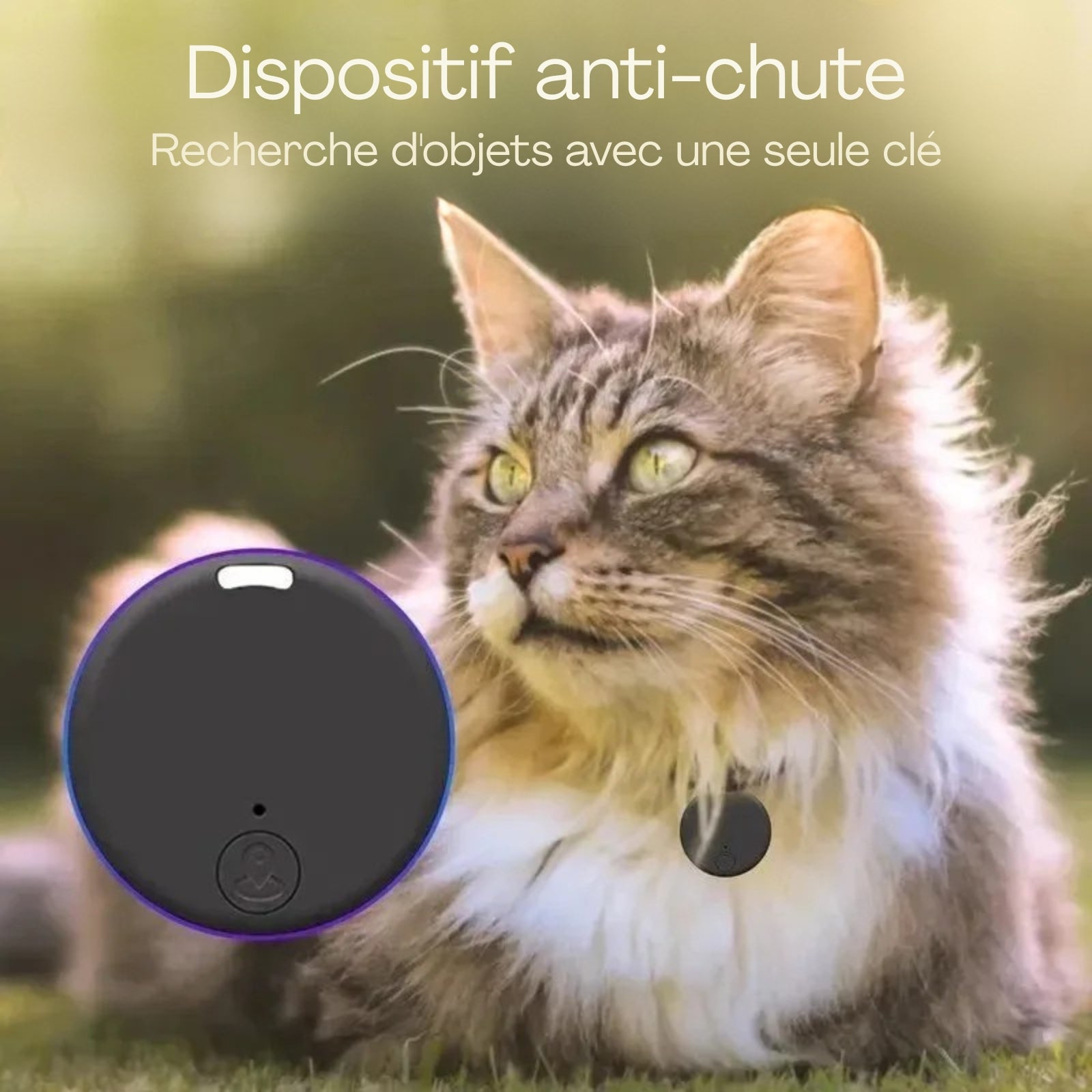 Collier gps chat équipé d'un mini traceur circulaire noir discret, porté par un chat à poils longs en extérieur. Le visuel met en avant le « Dispositif anti-chute » permettant la recherche d'objets ou d'animaux avec une seule clé via l'application. Une solution de localisation ultra-compacte, parfaite comme collier gps pour chaton grâce à son format miniature et son poids plume, assurant une sécurité totale avec ce collier gps élégant.