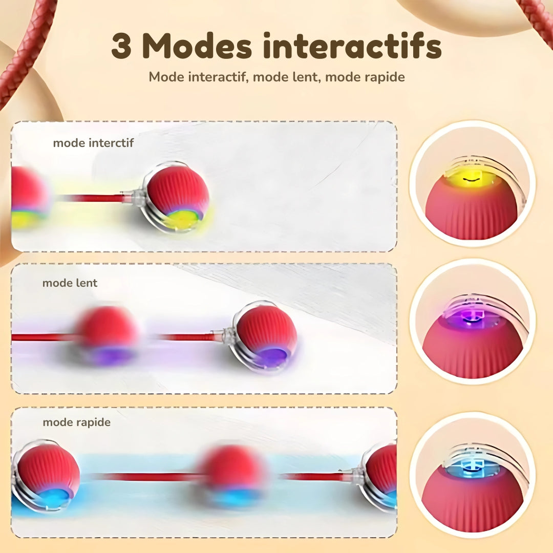 Infographie présentant les 3 modes interactifs du jouet serpent pour chat : mode interactif (jaune), mode lent (violet) et mode rapide (bleu) avec démonstration du mouvement et des lumières LED correspondantes.
