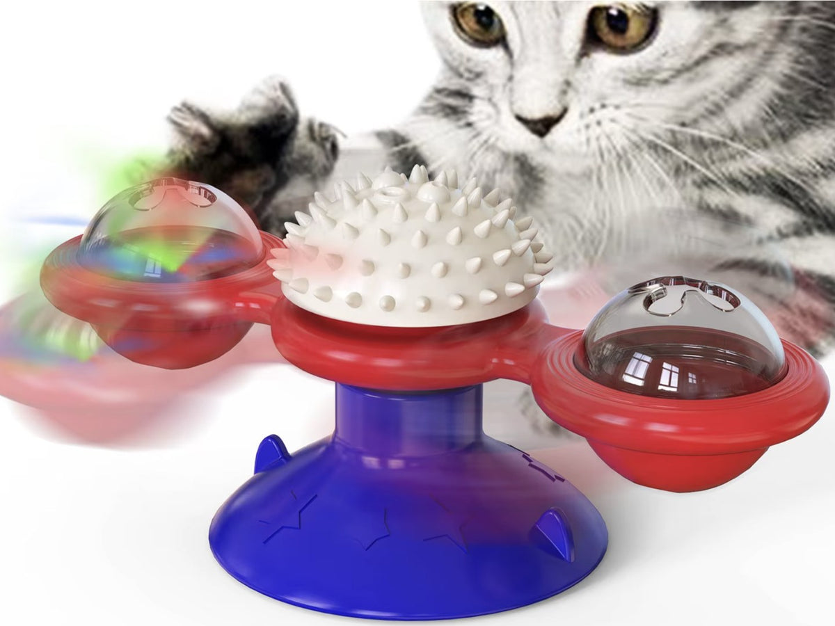 Chaton tigré qui fait tourner d'un coup de patte un moulin à vent pour chat rouge et bleu — Les Trésors d'Owka