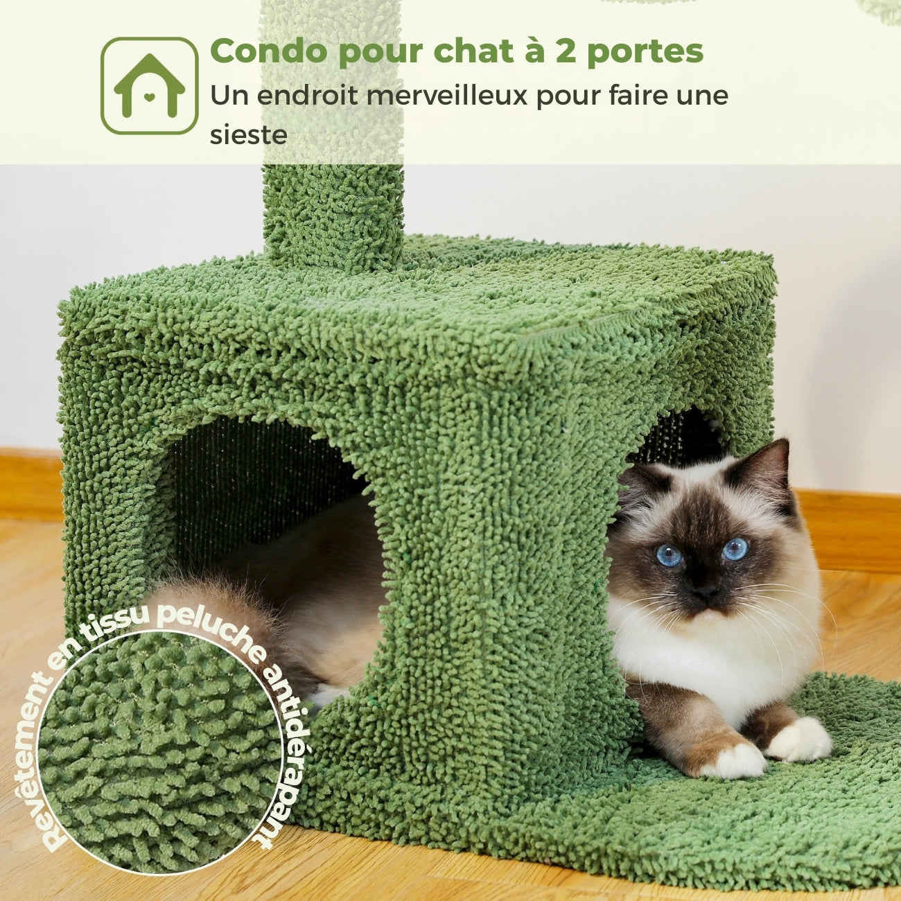 Détail de la niche double entrée pour chat de l'arbre à chat cactus vert, avec revêtement en tissu peluche antidérapant et chat sacré de Birmanie.