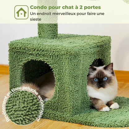 Détail de la niche double entrée pour chat de l'arbre à chat cactus vert, avec revêtement en tissu peluche antidérapant et chat sacré de Birmanie.