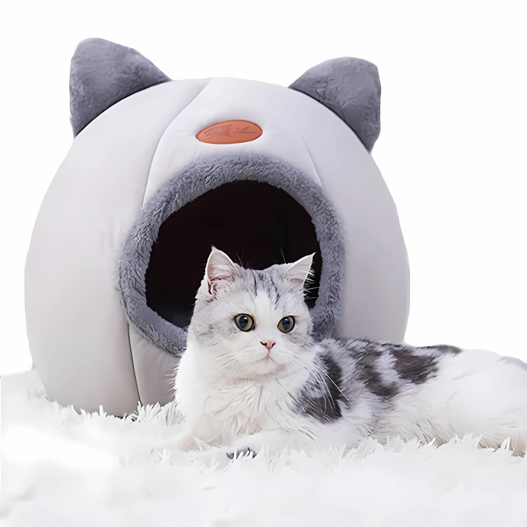 Chat gris et blanc allongé devant sa niche pour chat en forme d'igloo gris clair avec oreilles décoratives et intérieur en peluche épaisse.