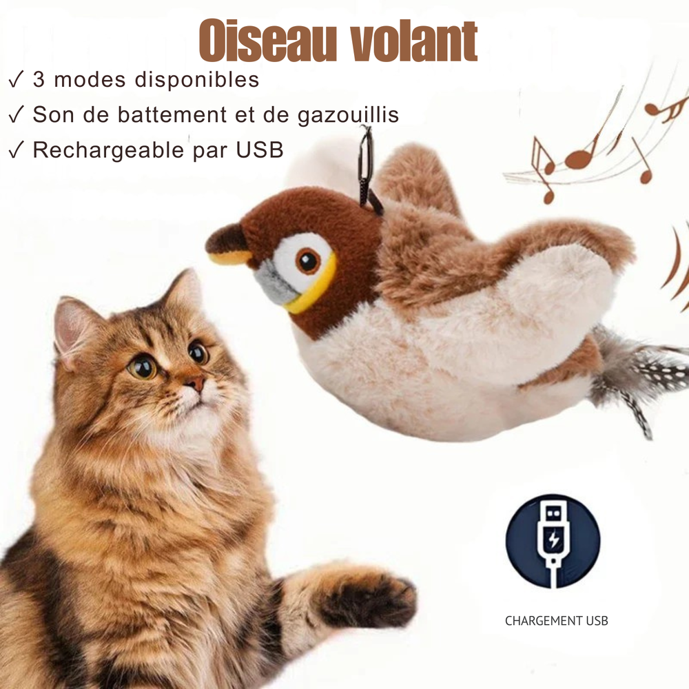 LE SECRET À L'INTÉRIEUR