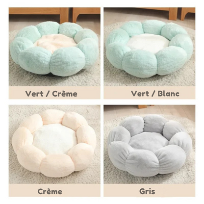Guide des coloris du panier pour chat en forme de fleur : modèles bicolores Vert/Crème et Vert/Blanc, et modèles unis Crème et Gris, tous en peluche douce rembourrée.