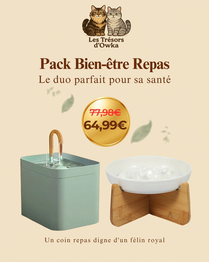 Pack Bien-être Repas Les Trésors d'Owka : fontaine à eau chat automatique silencieuse et gamelle anti-glouton surélevée en céramique sur support bois - duo repas sain pour chat à prix réduit