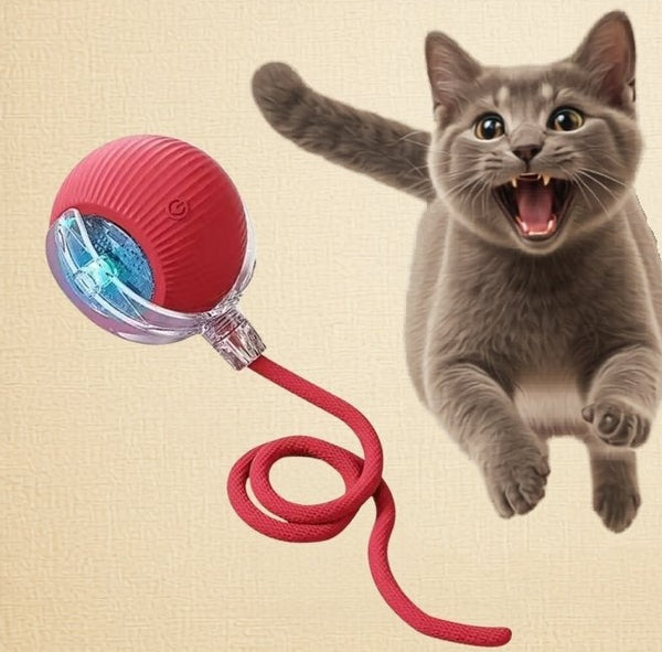 Pack « Joueur Fou » – Souris 2.0 + Duo Voltigeur : 1 Balle et 2 Baguettes à Plumes
