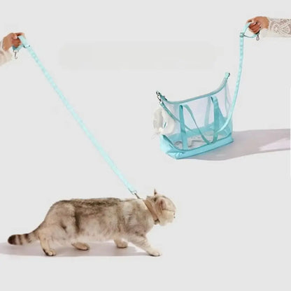 Pack de promenade pour chat turquoise comprenant un sac de transport transparent panoramique et une longue laisse coordonnée avec mousqueton de sécurité, portés par un chat gris en mouvement.