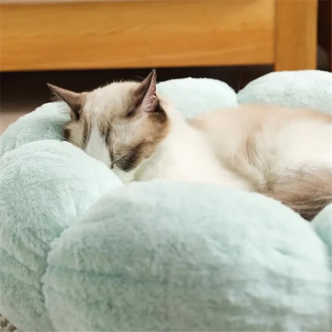 Chat siamois dormant paisiblement dans un panier en forme de fleur vert menthe, montrant le rembourrage épais et la texture en peluche douce du couchage.