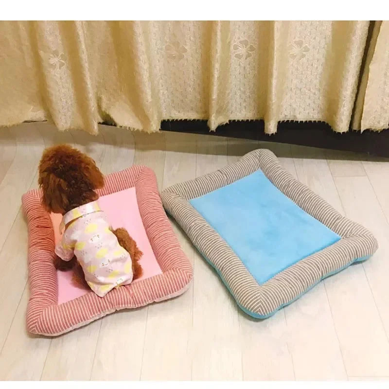Duo de tapis rafraichissant chien et chat avec bords rembourrés rayés bleu et rose sur un sol clair. L'image présente un petit chien assis sur ce coussin rafraichissant pour chat interactif et confortable. Panier d'été auto-rafraîchissant, respirant et moelleux, idéal comme tapis rafraichissant chat. Qualité Les Trésors d'Owka.