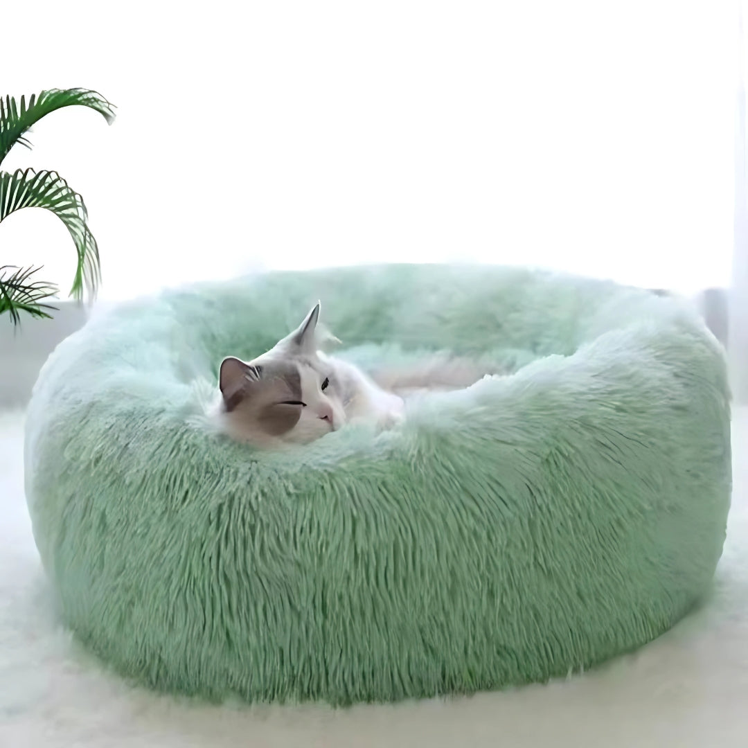 Chat blanc niché dans un panier rond apaisant en fausse fourrure vert menthe, montrant les bords surélevés et le rembourrage moelleux pour un confort anti-stress total