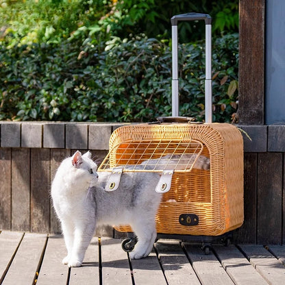 Chat blanc à côté de son panier de transport trolley en osier tressé avec poignée télescopique, roulettes pivotantes et grille de sécurité dorée, idéal pour les voyages avec style.
