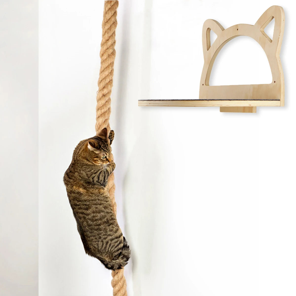 Chat tigré qui grimpe à la corde d'escalade du parcours mural, à côté du balcon en bois oreilles de chat — Les Trésors d'Owka