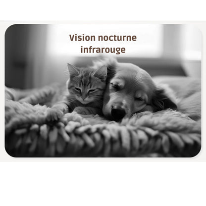 Démonstration de la vision nocturne infrarouge haute définition montrant un chaton et un chien endormis ensemble, avec une image nette et détaillée en noir et blanc.