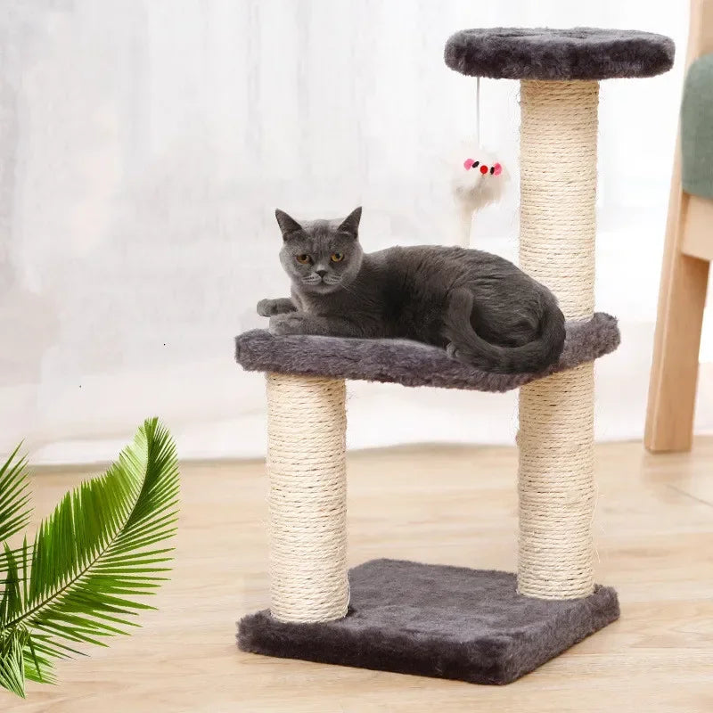 Petit arbre à chat gris anthracite compact avec griffoir en sisal naturel et jouet souris suspendu, illustré avec un chat gris chartreux adulte se reposant sur la plateforme intermédiaire.