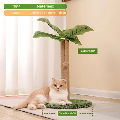 Arbre à chat design modèle Canne en forme de palmier avec poteau griffoir en corde de chanvre de 50 cm, base circulaire de 40 cm et feuilles tropicales réalistes, avec un chat beige allongé à côté.