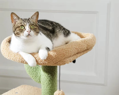 Chat allongé sur le perchoir à rebord de 34 x 34 cm au sommet du petit arbre à chat vert — Les Trésors d'Owka