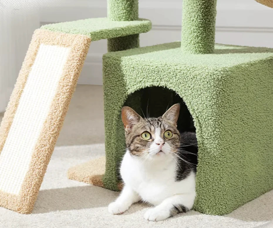 Chat dans la niche de 40 x 30 cm du petit arbre à chat, à côté du griffoir incliné couvert de sisal — Les Trésors d'Owka