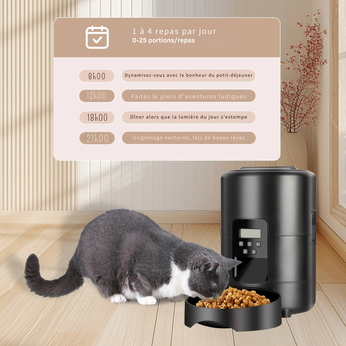 Infographie d'un distributeur automatique de croquettes noir pour chat montrant un planning de 1 à 4 repas par jour avec réglage de 0 à 25 portions par repas.