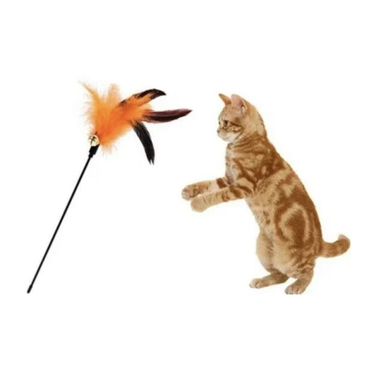 Chat roux dressé sur ses pattes arrière face à un plumeau pour chat à plumes orange et clochette — Les Trésors d'Owka