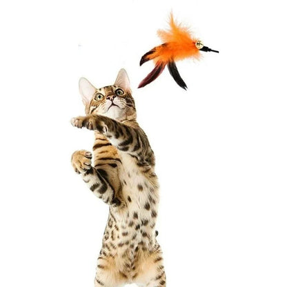 Chat bengal qui bondit vers les plumes orange et la clochette au bout d'un plumeau pour chat — Les Trésors d'Owka