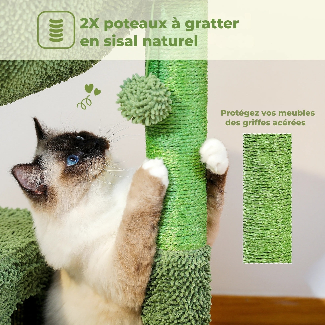Gros plan sur les deux poteaux à gratter en sisal naturel vert de l'arbre à chat cactus, idéal pour protéger les meubles des griffes acérées.
