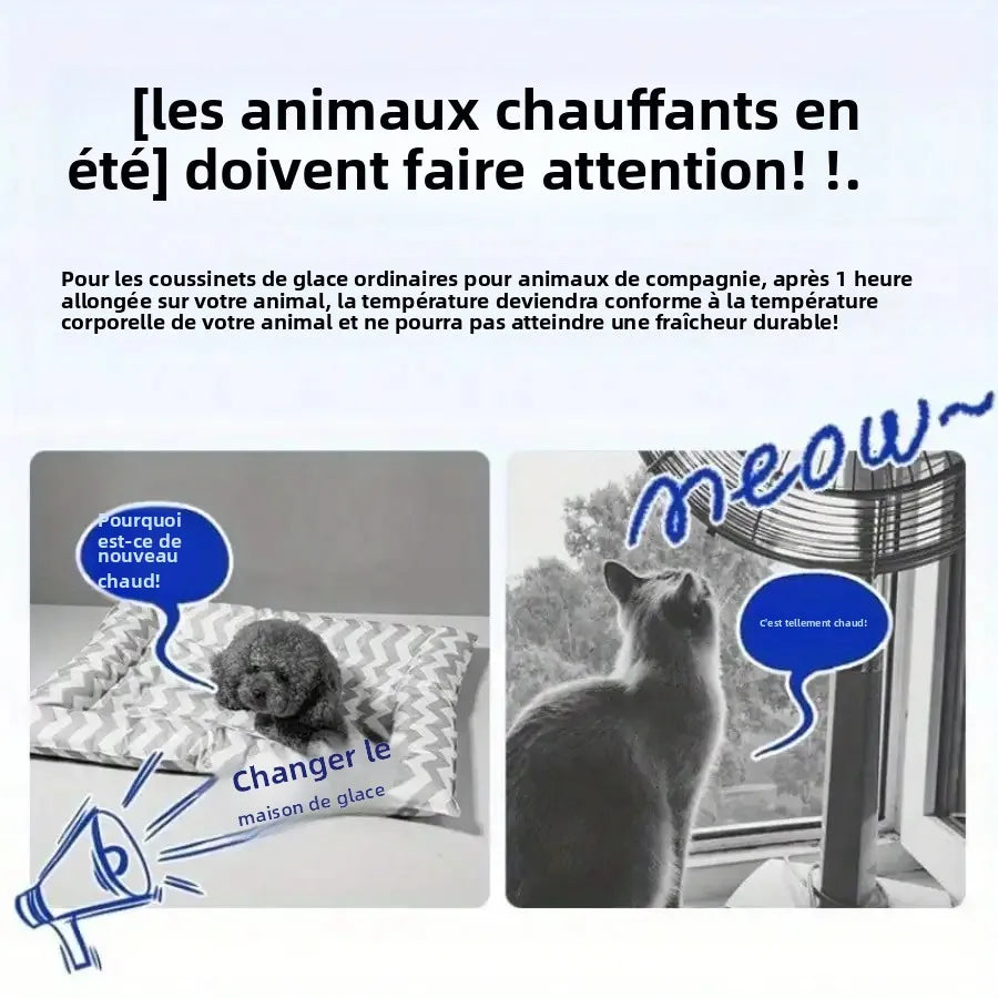 Problème d'efficacité des coussinets de glace ordinaires pour animaux : perte de fraîcheur rapide comparée au besoin de rafraîchissement durable.