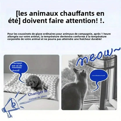 Problème d'efficacité des coussinets de glace ordinaires pour animaux : perte de fraîcheur rapide comparée au besoin de rafraîchissement durable.