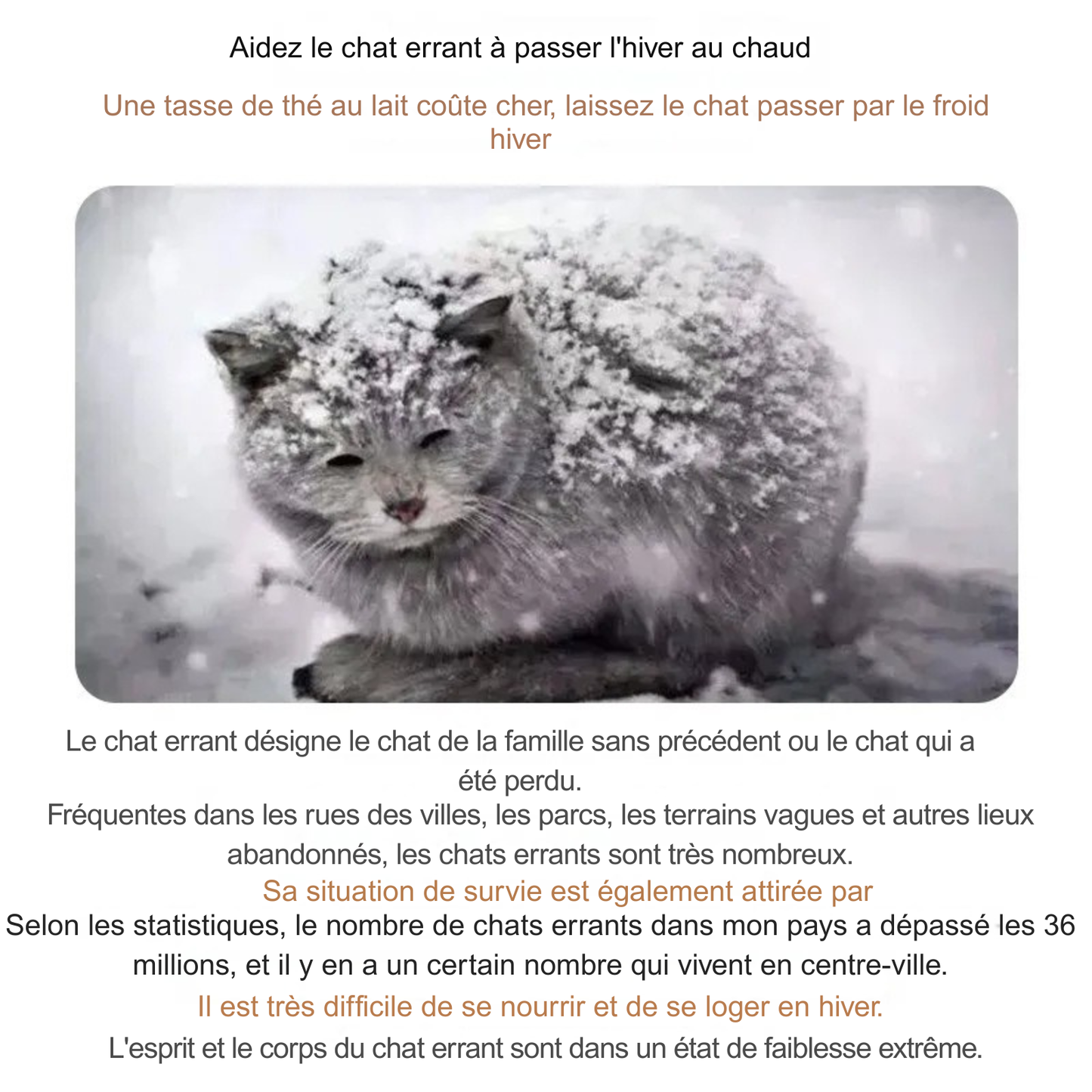 Infographie de sensibilisation montrant un chat sous la neige pour promouvoir l'usage d'un abris chat en hiver. Le texte explique la difficulté de survie des félins errants sans maison a chat. Message d'urgence pour installer une maison chat exterieur isolée afin de protéger les animaux du froid extrême. Qualité Les Trésors d'Owka.