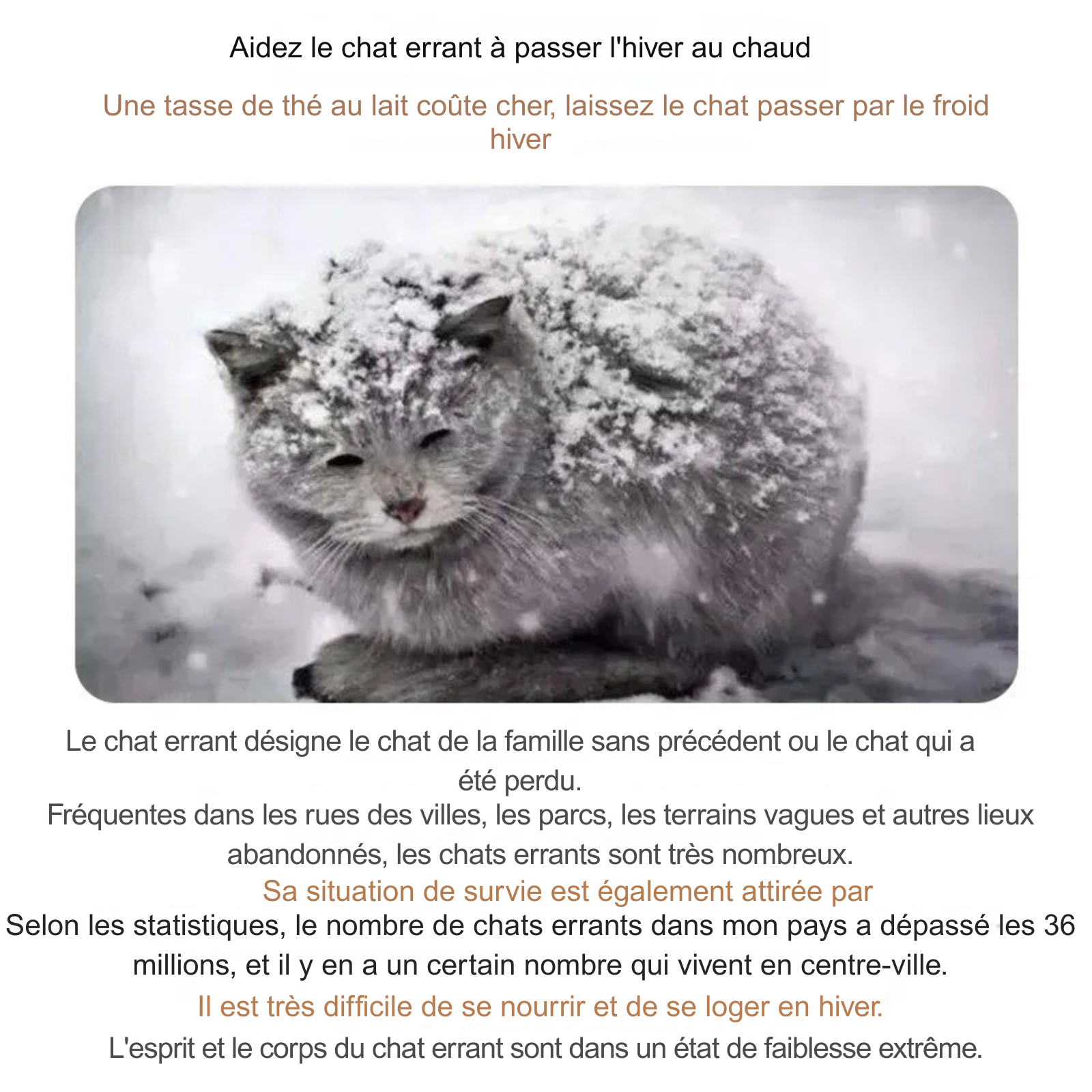 Infographie de sensibilisation montrant un chat sous la neige pour promouvoir l'usage d'un abris chat en hiver. Le texte explique la difficulté de survie des félins errants sans maison a chat. Message d'urgence pour installer une maison chat exterieur isolée afin de protéger les animaux du froid extrême. Qualité Les Trésors d'Owka.