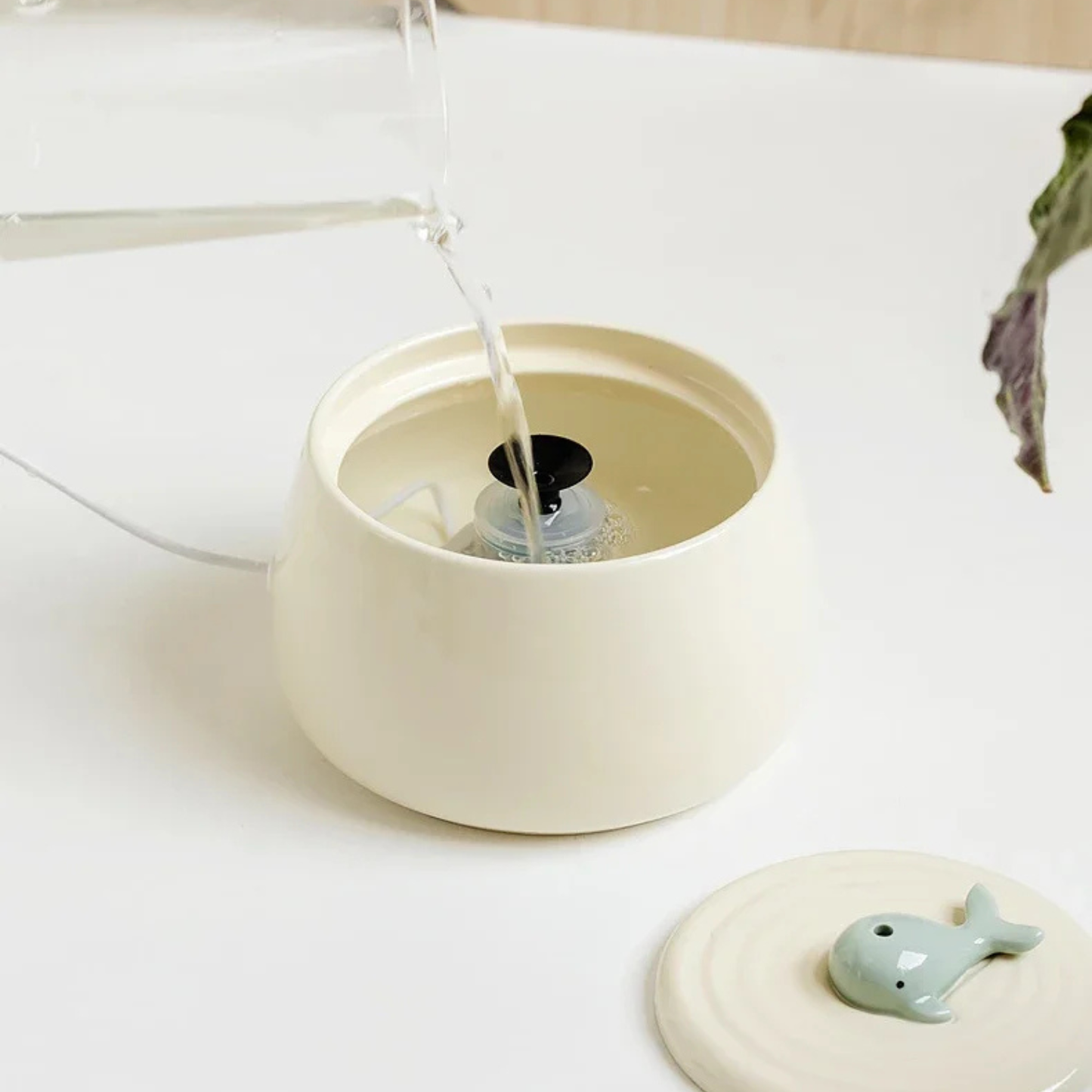 Action de verser de l'eau claire dans le réservoir d'une fontaine pour chat en céramique beige, montrant le filtre interne et le couvercle décoratif avec une petite baleine posé à côté.