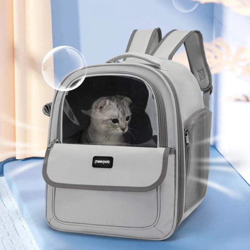 Sacs à Dos pour Chat : Explorez le Monde Ensemble