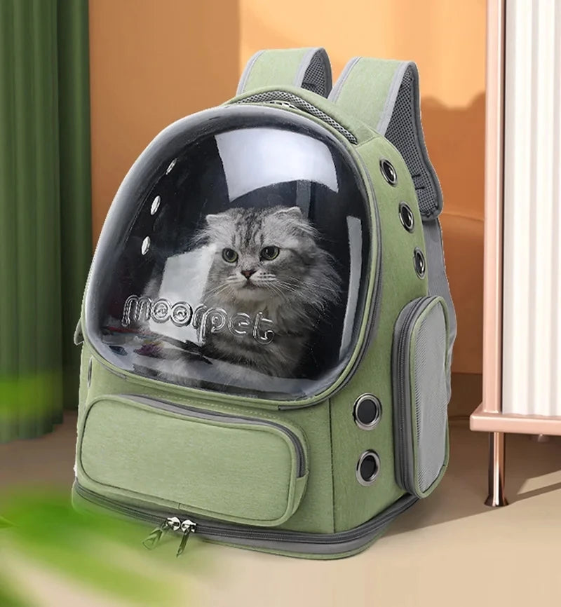 Sac à dos pour chat panoramique Moorpet vert sauge avec bulle transparente. Un chat gris regarde par le hublot du sac dos pour chat Les Trésors d'Owka fermé et sécurisé. Sac dos chat avec œillets d'aération et bretelles confortables pour randonnée et voyage.