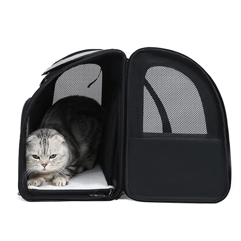 Sac à dos pour chat extensible noir ouvert avec son extension parc en mesh. Un chat gris est allongé sur le tapis blanc du sac dos pour chat Les Trésors d'Owka. Sac dos chat confortable et ventilé offrant un grand espace de repos pour le voyage.
