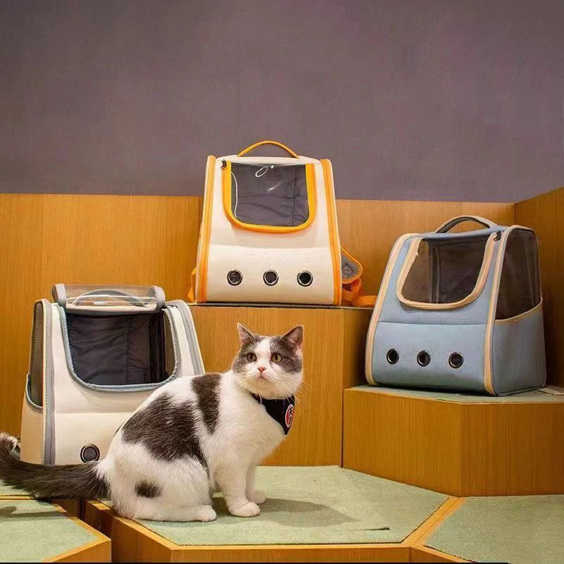 Femme portant un sac à dos de transport pour chat bleu ciel et blanc, doté d'une large fenêtre panoramique en filet, de trois œillets d'aération frontaux et de bretelles rembourrées confortables.