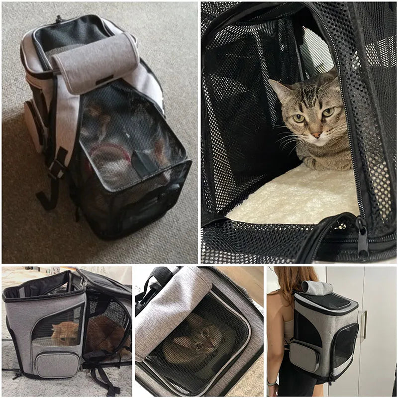 Montage de cinq photos montrant des chats utilisant le sac à dos de transport gris : extension tente déployée pour le repos, chat installé sur un tapis blanc doux, et portage ergonomique à l'épaule.