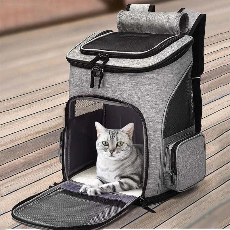 Sacs à Dos pour Chat : Explorez le Monde Ensemble