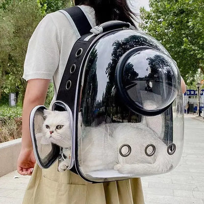 Femme portant un sac à dos de transport pour chat entièrement transparent avec une fenêtre en forme de bulle, montrant un chat blanc à l'intérieur et une ouverture latérale zippée pour l'aération.