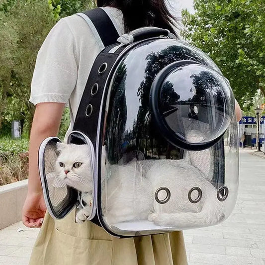Femme portant un sac à dos de transport pour chat entièrement transparent avec une fenêtre en forme de bulle, montrant un chat blanc à l'intérieur et une ouverture latérale zippée pour l'aération.