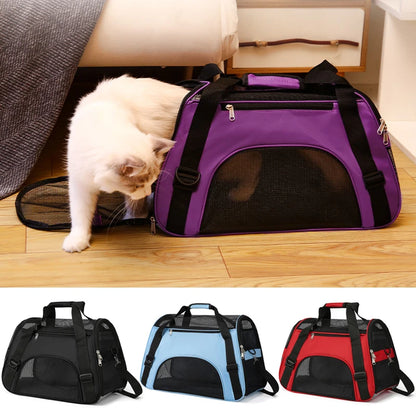 Sac de transport souple pour chat en tissu violet avec larges fenêtres en maille respirante, bandoulière réglable et poignées confortables, montré avec un chat blanc et disponible en noir, bleu et rouge.